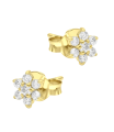 Beautiful Flower Silver Stud Earring STS-7122
